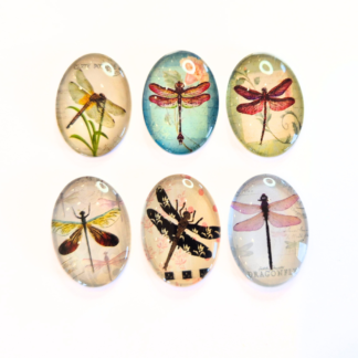 6 glas-cabochoner med trollsländemotiv 25x18 mm (20310)